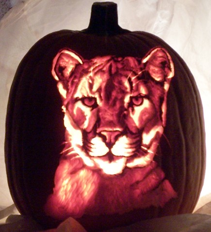 cougar_pumpkin.jpg