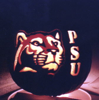 Psu2001.jpg (16828 bytes)