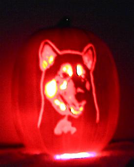 Sampumpk1.JPG (10882 bytes)