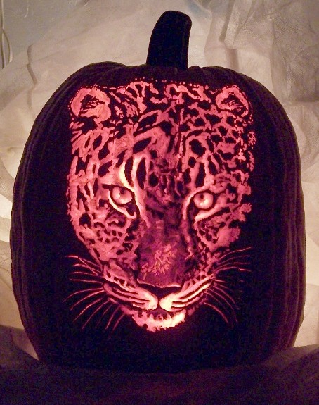 jaguar_pumpkin.jpg