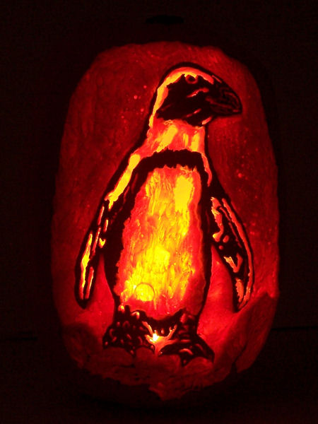 penguin_pumpkin.jpg