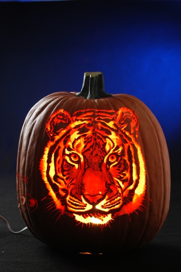 zoo_tiger_pumpkin.jpg